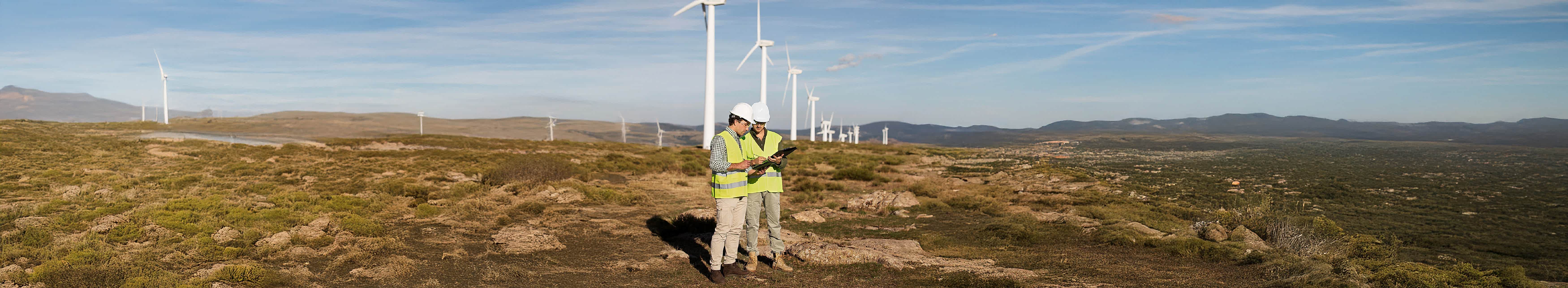 Sürdürülebilirlik Yönetimi
